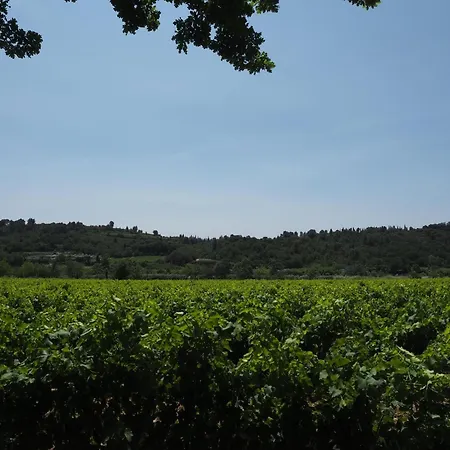 Pretty Modern With Pool And Views Of The Vineyards, * Domazan