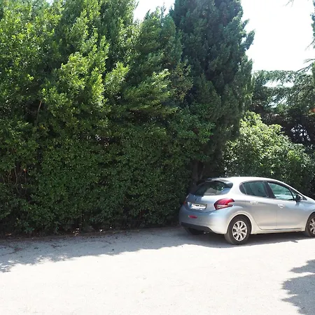 Near Pont Du Gard & Vineyards *