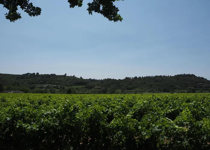 Near Pont Du Gard & Vineyards * Domazan
